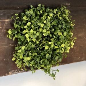 Maiden Hair Wreath 7”